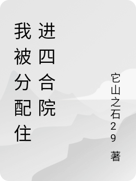 朱三九石《我被分配住进四合院》_我被分配住进四合院全集阅读