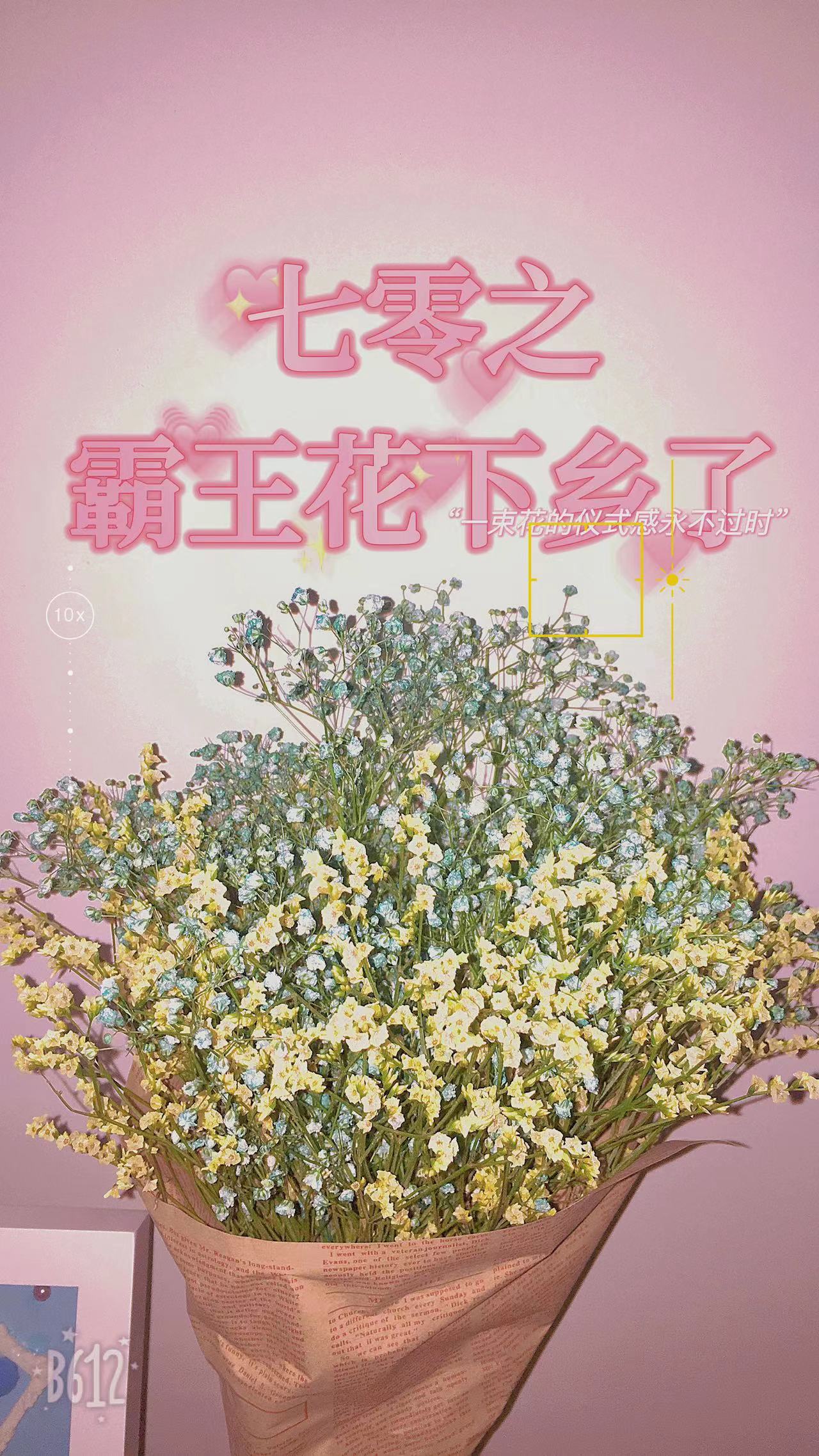 《七零之霸王花下乡了》江蓉房志军全章节在线阅读_江蓉房志军完结版免费阅读