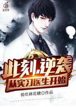 新书【完整版】小说丁歌李雪琪-此刻，逆袭，从实习医生开始免费在线分享