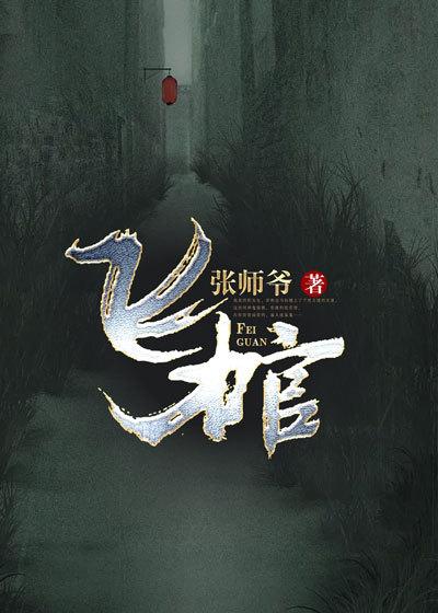 飞棺小说