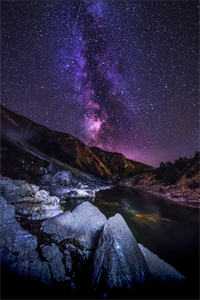 重生后，她和阴鸷大佬共谋天下